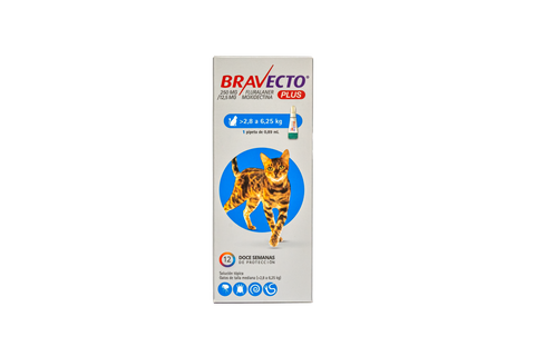 BRAVECTO PLUS PIPETA GATO 2.8-6.25 KG