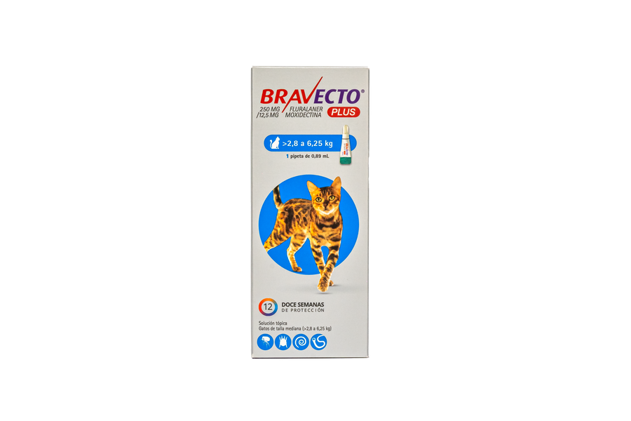 BRAVECTO PLUS PIPETA GATO 2.8-6.25 KG