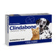 CLINDABONE 165 MG 20 COMP