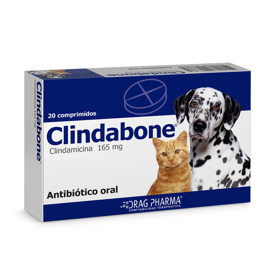 CLINDABONE 165 MG 20 COMP