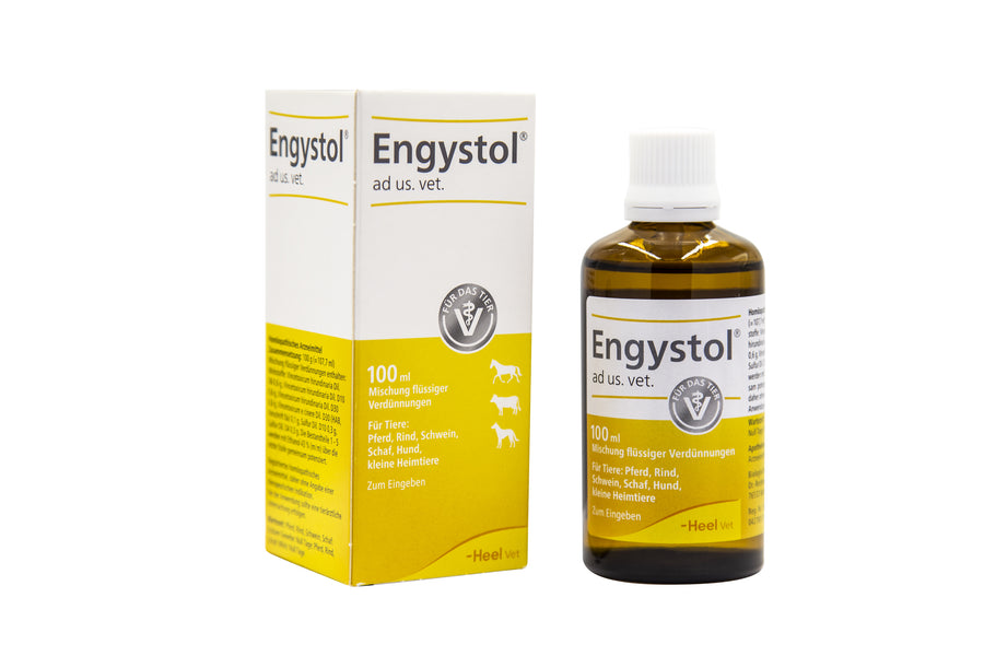 ENGYSTOL SOLUCION ORAL GOTAS 100 ML
