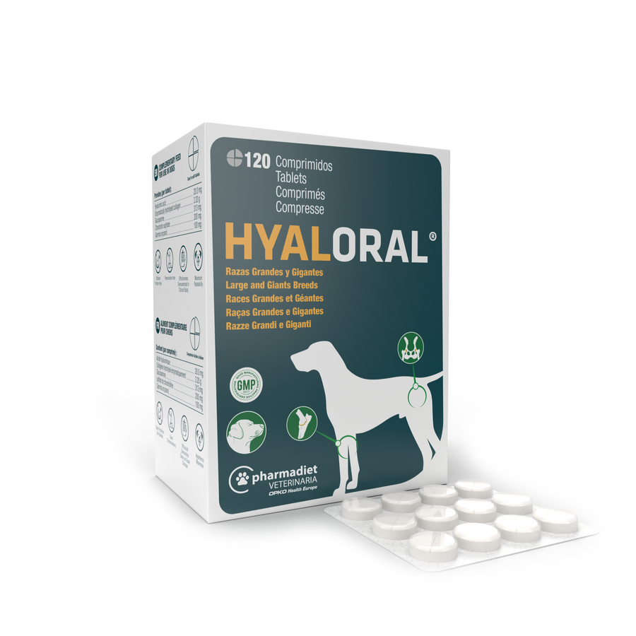 HYALORAL R GRANDES Y GIGANTES 120 COMP
