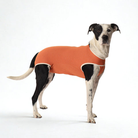 BODY COOPER CASTRACION TALLA 12