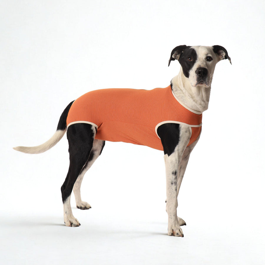BODY COOPER CASTRACION TALLA 12