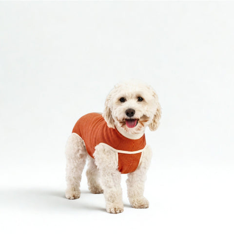 BODY COOPER CASTRACION TALLA 5