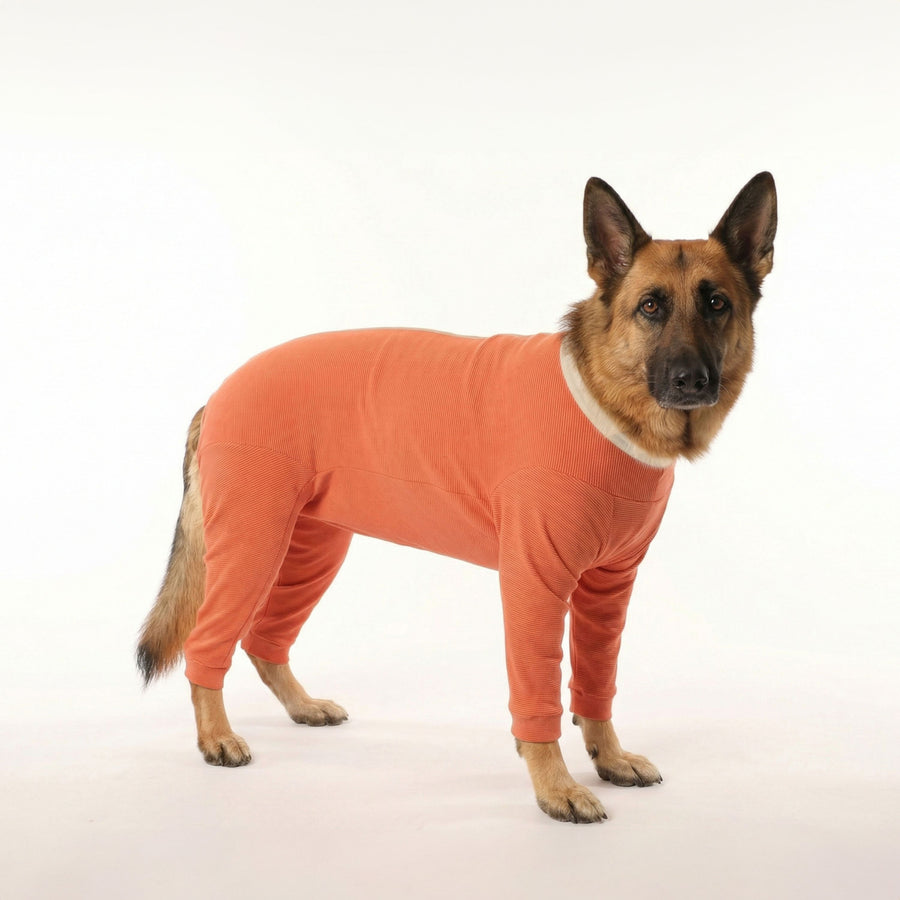 BODY COBRE 4 PATAS TALLA 10