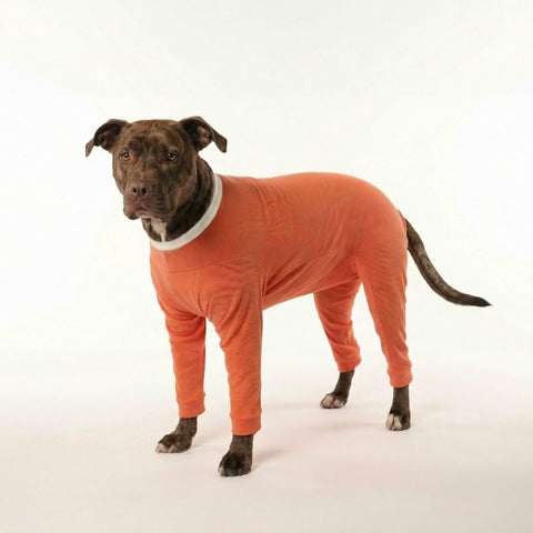 BODY COBRE 4 PATAS TALLA 11