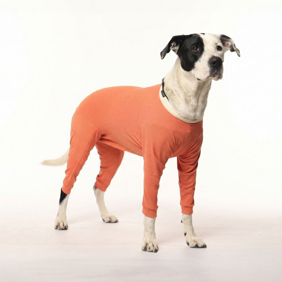 BODY COBRE 4 PATAS TALLA 12