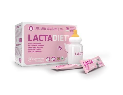 LACTADIET CALOSTRO GATO CON MAMADERA 40 SACHET