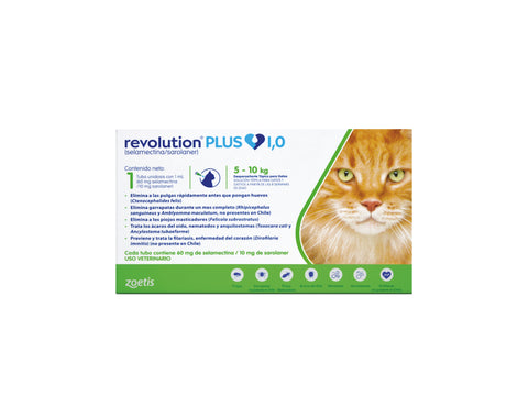REVOLUTION PLUS PIPETA GATO 5-10 KG