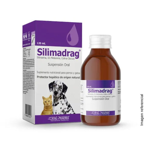 DRAGPHARMA SILIMADRAG SUSPENSION ORAL 120 ML