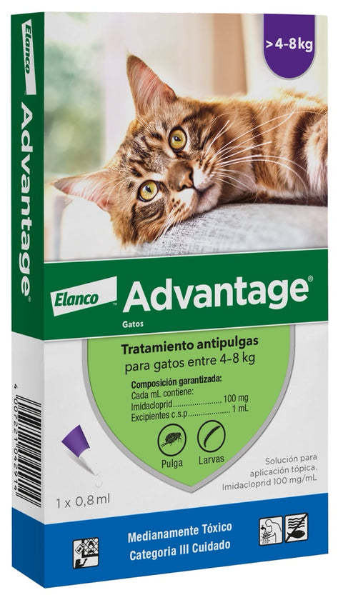 ADVANTAGE PIPETA GATO 4-8 KG