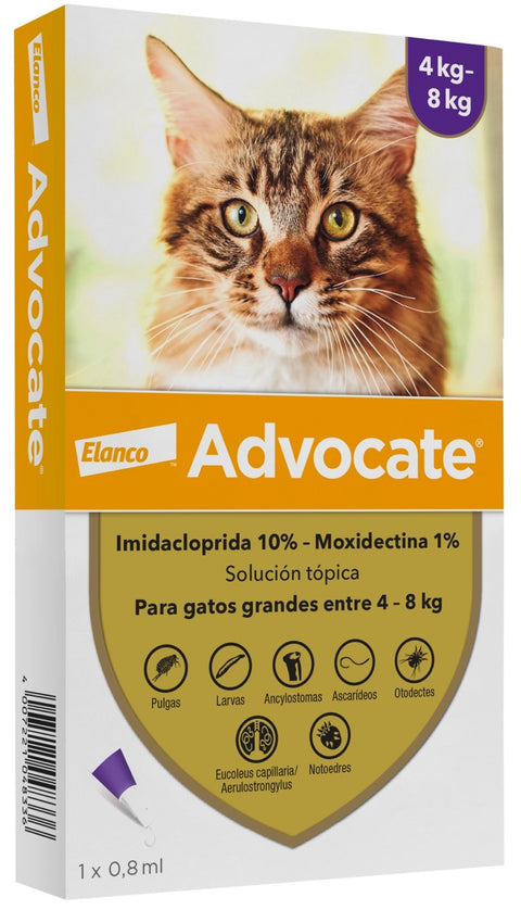 ADVOCATE PIPETA GATO 0,8 ML 4-8 KG