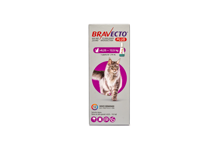 BRAVECTO PLUS PIPETA 6.25-12.5 KG