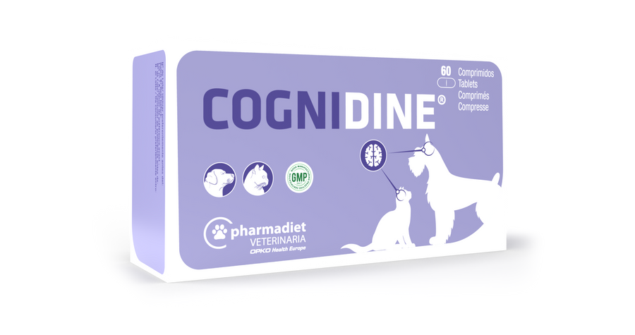 COGNIDINE 60 COMPRIMIDOS
