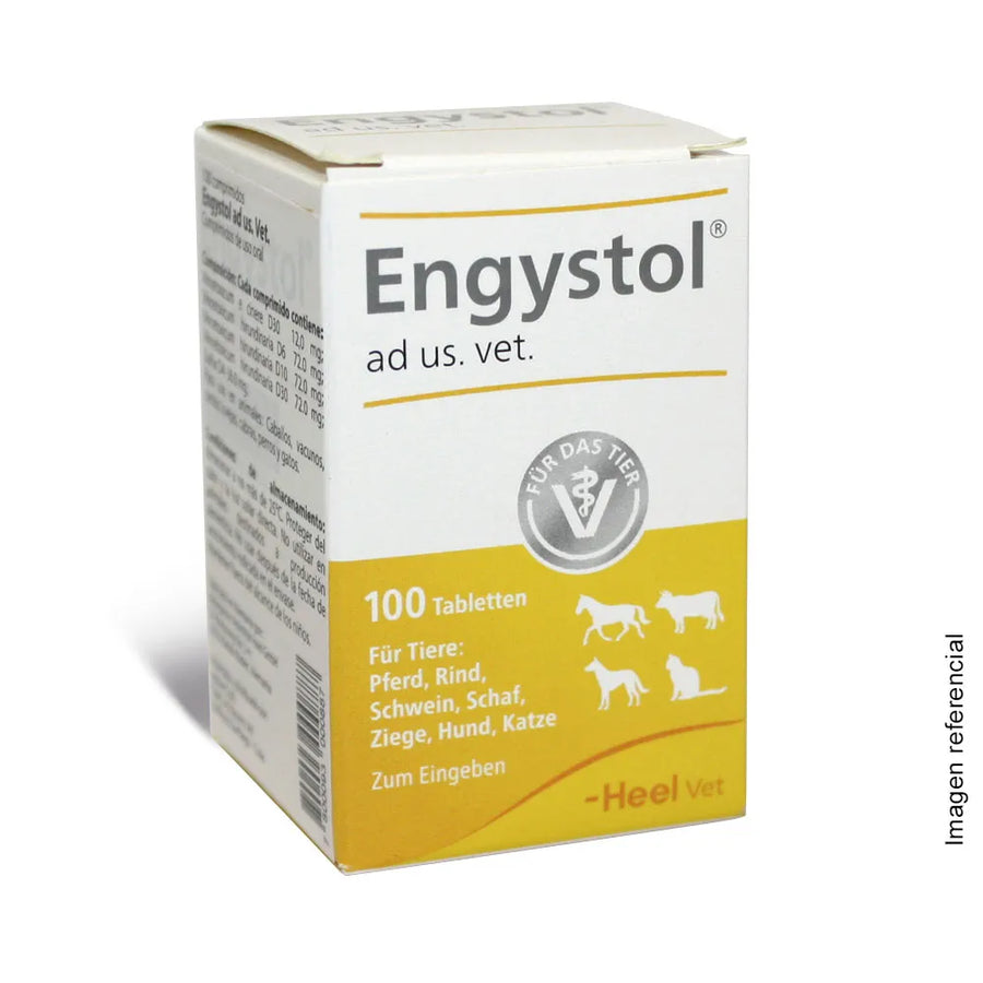 ENGYSTOL 100 COMPRIMIDOS