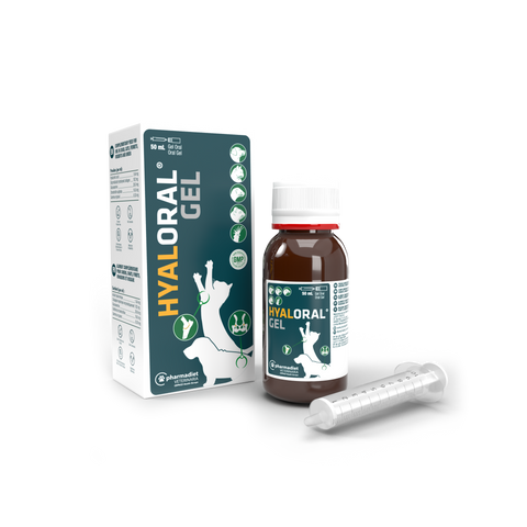 HYALORAL GEL 50 ML