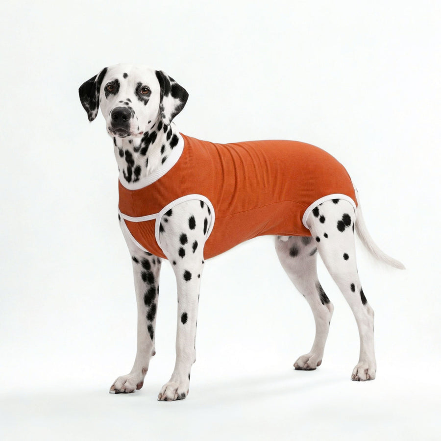 BODY COOPER CASTRACION TALLA 10