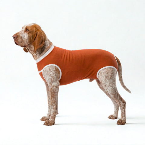 BODY COOPER CASTRACION TALLA 11