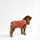 BODY COOPER CASTRACION TALLA 6