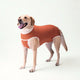 BODY COOPER CASTRACION TALLA 9