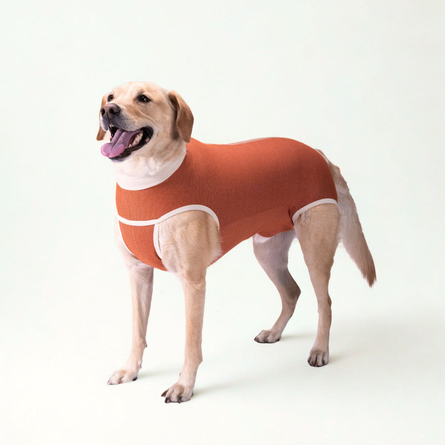 BODY COOPER CASTRACION TALLA 9
