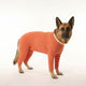 BODY COBRE 4 PATAS TALLA 10
