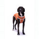 BODY COOPER TRADICIONAL TALLA 10