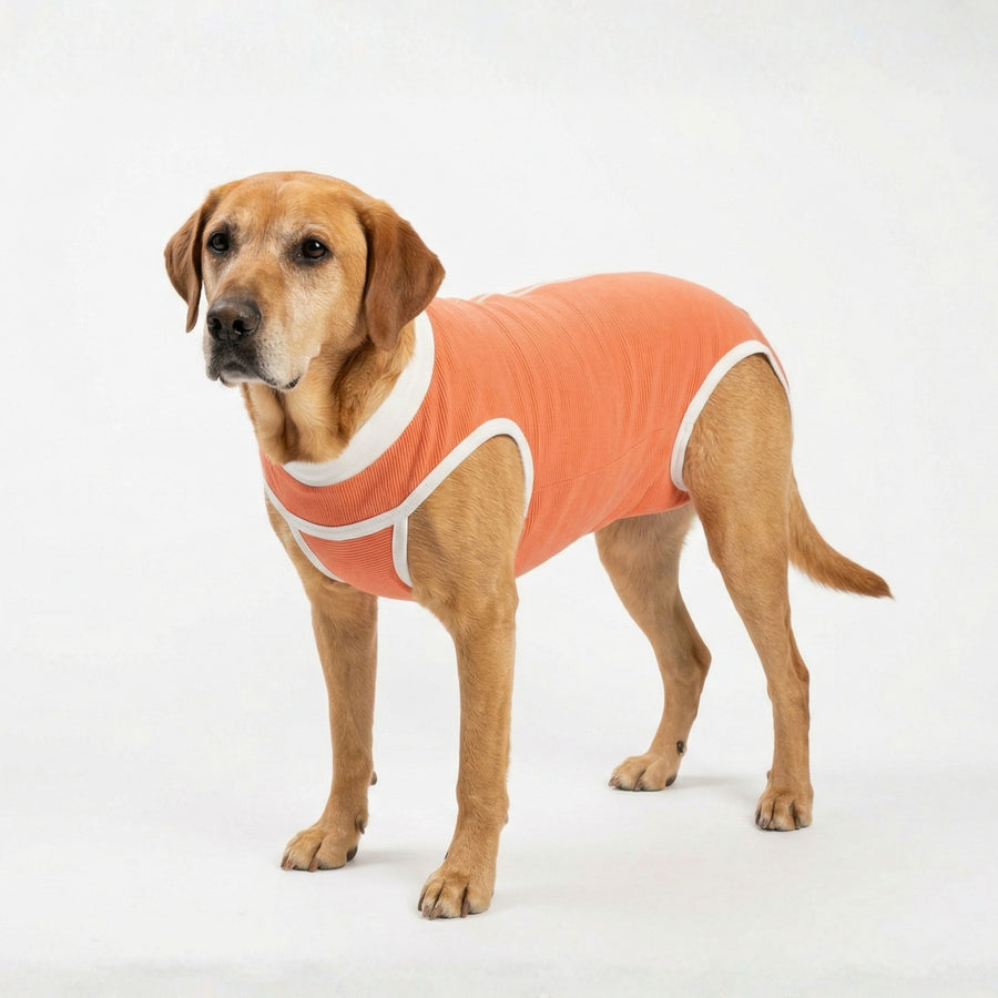 BODY COOPER TRADICIONAL TALLA 11