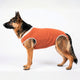 BODY COOPER TRADICIONAL TALLA 13