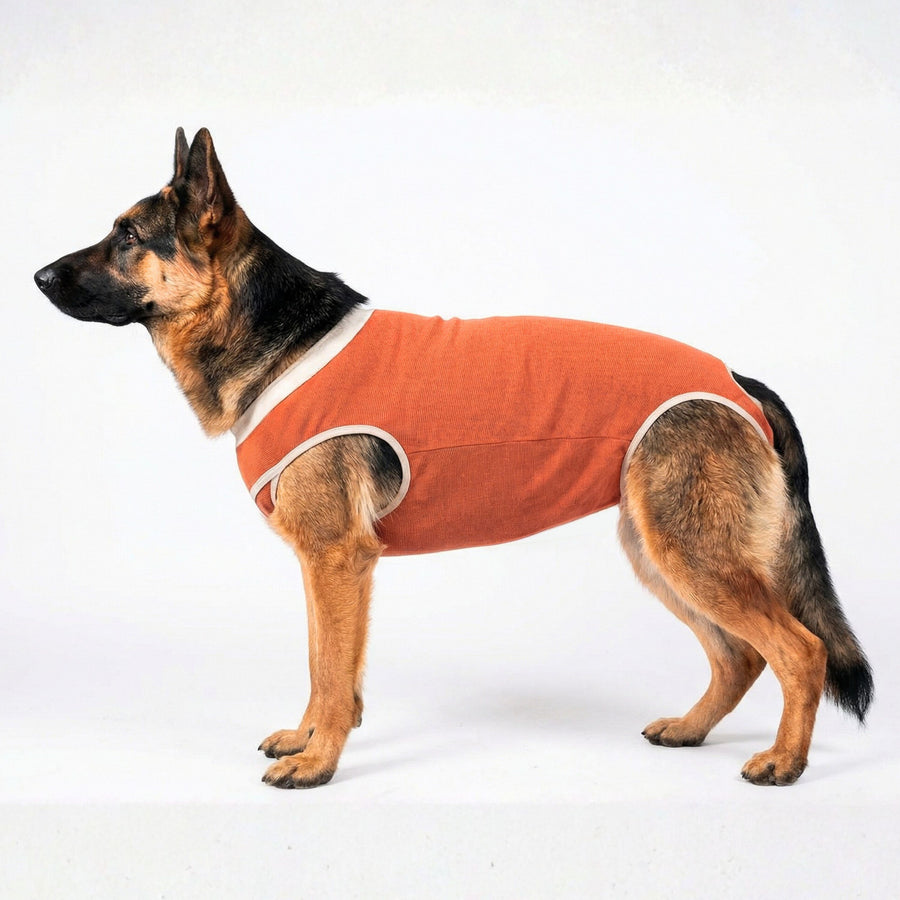 BODY COOPER TRADICIONAL TALLA 13