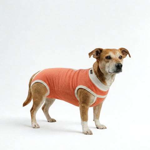 BODY COOPER TRADICIONAL TALLA 7