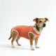 BODY COOPER TRADICIONAL TALLA 7