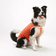 BODY COOPER TRADICIONAL TALLA 8