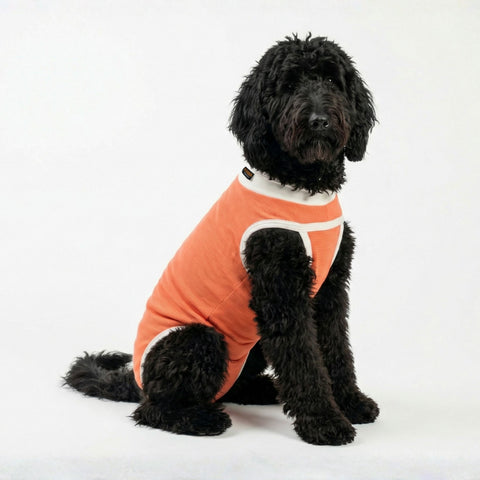 BODY COOPER TRADICIONAL TALLA 9