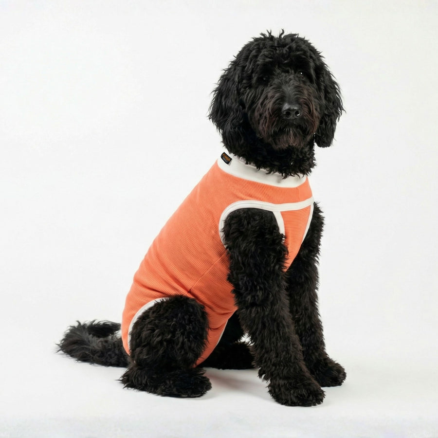 BODY COOPER TRADICIONAL TALLA 9