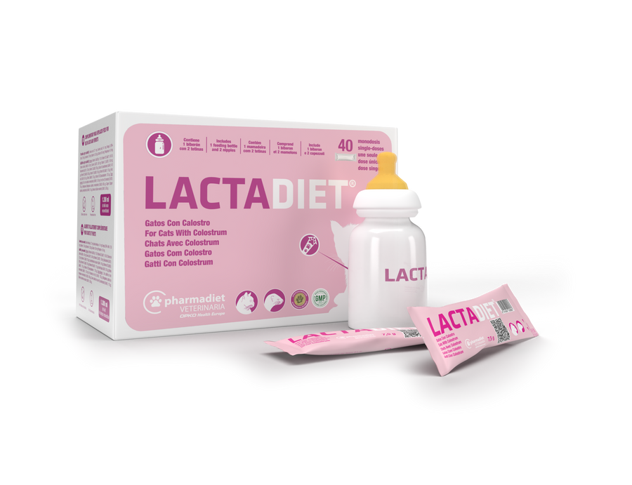 LACTADIET CALOSTRO GATO CON MAMADERA 40 SACHET