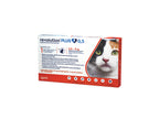 REVOLUTION PLUS PIPETA GATO 2.6-5 KG