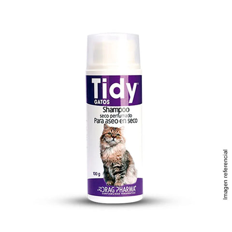 TIDY SHAMPOO SECO PERFUMADO 100G